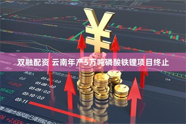 双融配资 云南年产5万吨磷酸铁锂项目终止