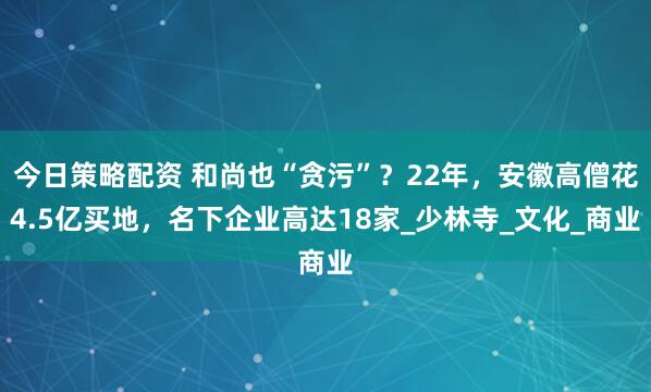 今日策略配资 和尚也“贪污”？22年，安徽高僧花4.5亿买地，名下企业高达18家_少林寺_文化_商业