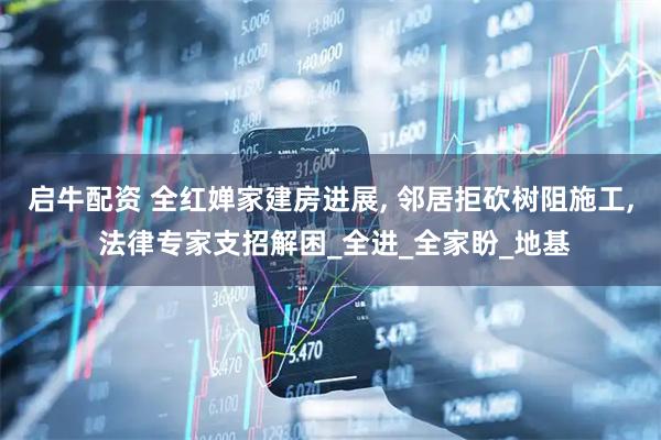 启牛配资 全红婵家建房进展, 邻居拒砍树阻施工, 法律专家支招解困_全进_全家盼_地基