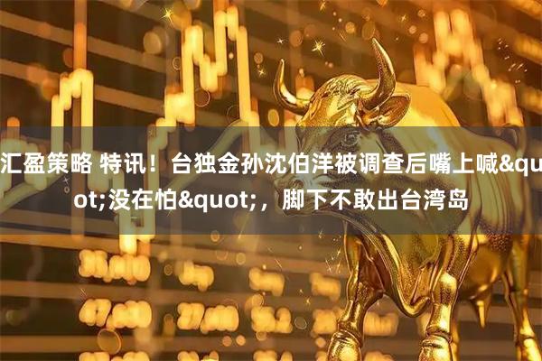 汇盈策略 特讯！台独金孙沈伯洋被调查后嘴上喊"没在怕"，脚下不敢出台湾岛
